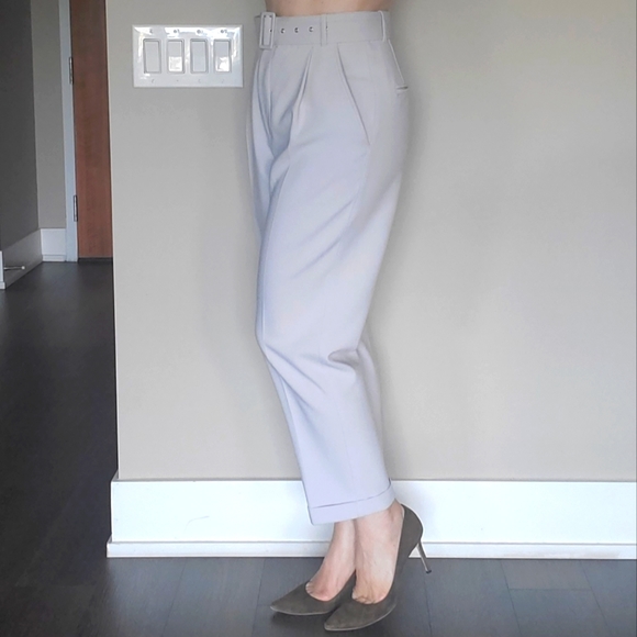 ๐ HOST PICK ๐ Sandra Angelozzi Ankle Pants - Picture 7 of 12